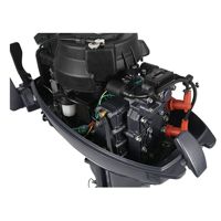 купить 2х-тактный лодочный мотор ALLFA CG T9.9 BWS в Москве - фото 