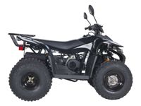 купить Квадроцикл BALTMOTORS Jam 100 в Москве - фото 