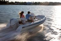 купить Лодка РИБ GRAND SILVER LINE S420N в Москве - фото 