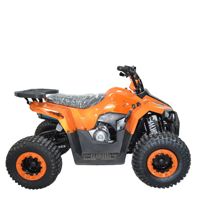 купить Квадроцикл ATV Giro в Москве - фото 