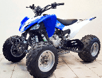 купить Квадроцикл MIKILON Rapide 250S в Москве - фото 