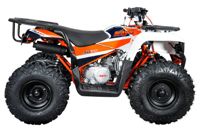 купить Квадроцикл KAYO AU125 в Москве - фото 