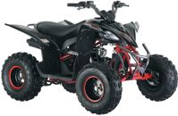 купить Квадроцикл MIKILON Rapide 120 в Москве - фото 