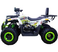 купить Квадроцикл AVANTIS Hunter 200 New Premium (2020) в Москве - фото 