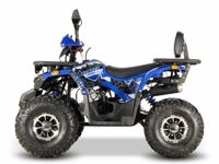 купить Квадроцикл GRIZZLY Aerox 125 в Москве - фото 