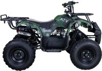 купить Квадроцикл RAPTOR ATV150U Classic + 150CC 4Т в Москве - фото 