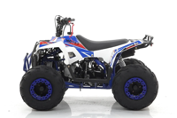 купить Квадроцикл MOTAX Grizlik A110 в Москве - фото 