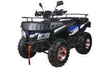 купить Квадроцикл RATO 200 LD LUXE в Москве - фото 