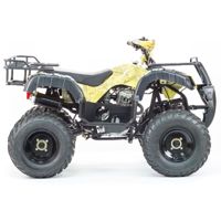 купить Квадроцикл STALKER 250 в Москве - фото 