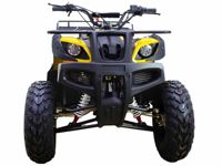 купить Квадроцикл ATV Classic 200 в Москве - фото 