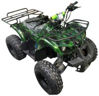 купить Электроквадроцикл AVANTIS ATV Classic 8E (1000W) в Москве - фото 