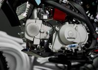 купить Мотоцикл питбайк SHARMAX MOTORS PowerMax 190 MIAMI в Москве - фото 