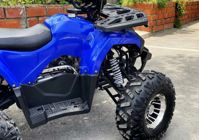 купить Квадроцикл TIGER Extra 175cc (2024) в Москве - фото 