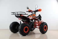 купить Квадроцикл MOTAX ATV T-Rex Super LUX 50 cc в Москве - фото 