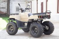 купить Квадроцикл UNIVERSAL Hammer 2 (200) в Москве - фото 