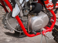 купить Мотоцикл кроссовый эндуро СТЕЛС Gryphon Orion 160 Pro 14/12 в Москве - фото 