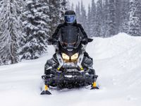купить Снегоход BRP Ski Doo Skandic LE 24" 900 Ace в Москве - фото 