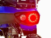 купить Квадроцикл MOTAX Grizlik 200 ULTRA BIG в Москве - фото 