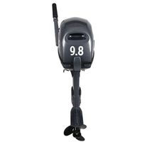 купить 2х-тактный лодочный мотор ALLFA CG T9.8 в Москве - фото 