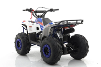 купить Квадроцикл MOTAX Grizlik A110 в Москве - фото 