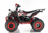 купить Квадроцикл WELS EVO X2 в Москве - фото 