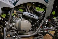 купить Квадроцикл SHARMAX Raizer Race Cup 250 в Москве - фото 