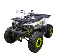купить Квадроцикл AVANTIS Hunter 8 New Lux в Москве - фото 