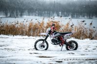 купить Мотоцикл питбайк SHARMAX PowerMax 125 (2024) в Москве - фото 