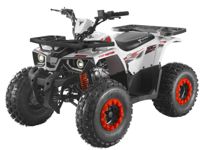 купить Квадроцикл TAO MOTOR Hunter 125 в Москве - фото 