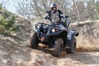 купить Квадроцикл BALTMOTORS Striker 400 EFI в Москве - фото 