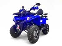 купить Квадроцикл MOTAX Grizlik 200 ULTRA BIG в Москве - фото 