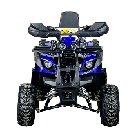 купить Квадроцикл STALKER 125 в Москве - фото 