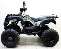 купить Квадроцикл ATV Avenger Tungus 250 в Москве - фото 