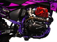 купить Мотоцикл SANCHEZ Maniac PR300 в Москве - фото 