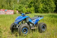 купить Квадроцикл SHARMAX Cross 180 RX в Москве - фото 