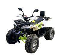 купить Квадроцикл BISON Miravel 125 Lux в Москве - фото 