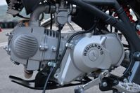 купить Мотоцикл REGULMOTO Seven Medalist Pro 19/16 PITBIKE в Москве - фото 