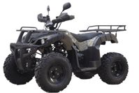 купить Квадроцикл UNIVERSAL Avenger JR 200 в Москве - фото 