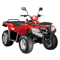 купить Квадроцикл ARMADA ATV 200L в Москве - фото 