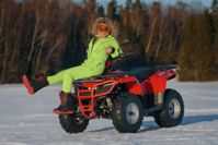 купить Квадроцикл SHARMAX Luxe 300  (2024) в Москве - фото 