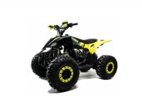 купить Квадроцикл MOTOLAND ATV RAPTOR A 125 в Москве - фото 