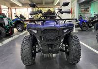 купить Квадроцикл IRIDE Wolf 300 в Москве - фото 