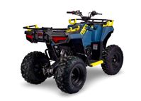 купить Квадроцикл AVANTIS Ray 200 Basic в Москве - фото 