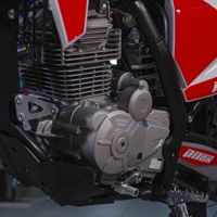 купить Мотоцикл PITONMOTO MX4 PR300 21/18 ENDURO в Москве - фото 