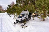 купить Снегоход РУССКАЯ МЕХАНИКА Tayga Patrul 800 SWT в Москве - фото 