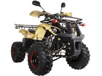 купить Квадроцикл AVANTIS Hunter 8 Lux в Москве - фото 