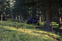 купить Квадроцикл LONCIN Xwolf 1000 (ПСМ) в Москве - фото 