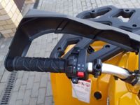 купить Квадроцикл MOTOLAND ATV 200 Wild Track в Москве - фото 