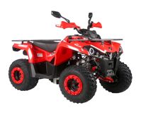 купить Квадроцикл MIKILON Hammer 200L Pro-R в Москве - фото 