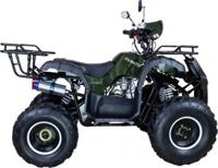 купить Квадроцикл AVANTIS Hunter 8+ 125 2018 в Москве - фото 